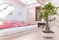 Come decorare una camera da letto feng shui stile