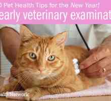 10 Consigli sulla salute dell`animale domestico per il nuovo anno