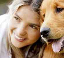 10 Motivi per datare un amante dei cani