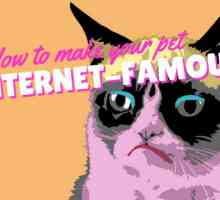 3 Suggerimenti rapidi per rendere il vostro animale domestico internet-famoso