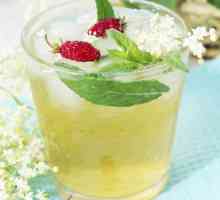 5 Delicious idee arbusto cocktail
