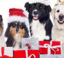 5 Paw-fect regali di Natale per i cani