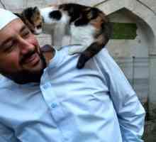 Una moschea in Turchia accoglie gatti locali di venire dentro