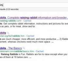 Pubblicità onraising-rabbits.com