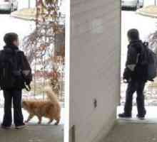Gatto fa compagnia ragazzo mentre aspetta scuolabus ogni mattina