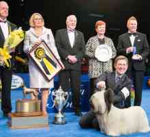 Charlie terrier Skye vince il Best in Show alla mostra nazionale di cane 2015