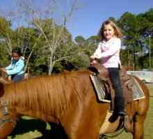 Sicurezza per i bambini con i cavalli e pony