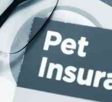 Fare la maggior parte dei veterinari raccomandano di assicurazione dell`animale domestico?