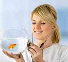 Malattie Goldfish da sintomi