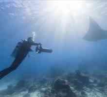 Virtuali immersioni subacquee di Google offrono una vista mozzafiato delle barriere coralline