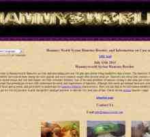 Revisione del sito Hamster: hammysworld