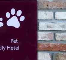 Galateo hotel per cani