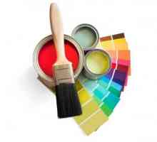 Come scegliere il colore della vernice per pareti della cucina