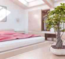 Come decorare una camera da letto feng shui stile