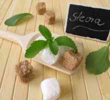 Come estrarre lo zucchero dalla stevia