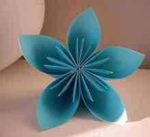 Come fare un origami 5 petalo di fiore