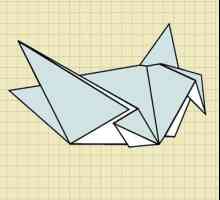 Come fare un origami colomba