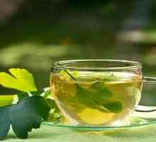 Come per fare il tè ginkgo biloba dalle foglie