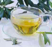 Come per fare il tè di foglie di olivo