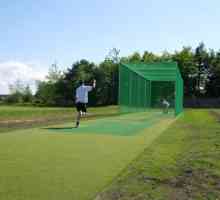 Come praticare il cricket a casa