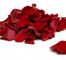 Come conservare freschi petali di rosa