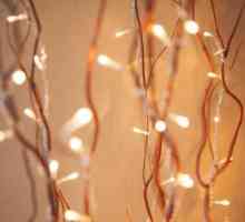 Idee per decorare con luci fatate