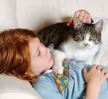 Bambini e gatti insieme: 7 cose da sapere