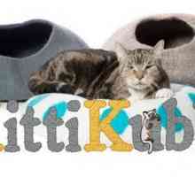 Kittikubbi sentiva recensione gatto letto