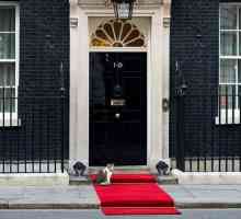 Larry il gatto rimane a 10 Downing Street come David Cameron si dimette