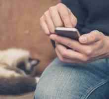 Miagolio mobile: le migliori applicazioni gatto-amante per lo smartphone