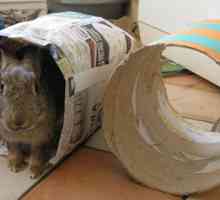 Altri giocattoli coniglio: tunnel di carta