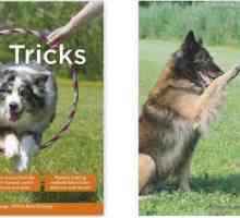 Guide di idiot - Nuovo libro pubblicato: trucchi cane