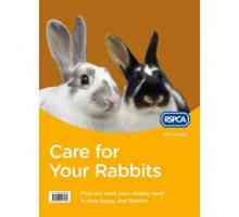 Nuova edizione di cura per i tuoi conigli (guida RSPCA pet)