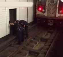NYPD salva gattino da binari della metropolitana