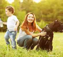 Animali, parassiti e proteggere la famiglia