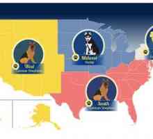 Razze di cani più utilizzati in ciascuno Stati Uniti Regione