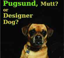 Pugsund: mutt o un cane designer?