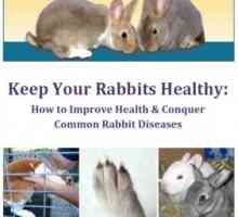 La malattia di coniglio e-book
