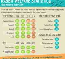 Statistiche benessere Coniglio - rapporto zampa 2014