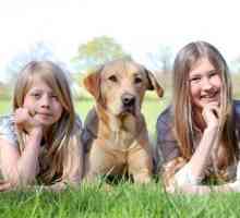 RSPCA invita i genitori a educare i bambini su come comportarsi intorno ai cani