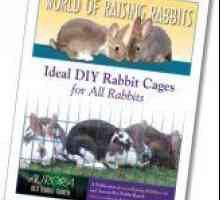 Sito mapfor raising-rabbits.com