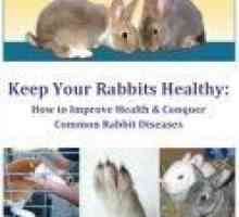 Malattie coniglio andhealth pagina mozzo