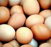 I vantaggi di mangiare i bianchi d`uovo
