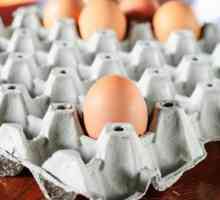 Le migliori scatola delle uova artigianali - idee per il riutilizzo scatole di uova