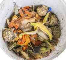 Le migliori scarti alimentari per il compost