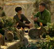 Gli scavatori: animali parte sotterranea 3 (conigli)