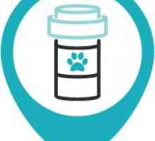 Le cose da fare e non fare di medicinali OTC per i cani