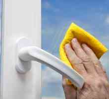 Suggerimenti per la pulizia dei vetri finestre