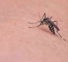 Trucchi per evitare le punture di zanzara
