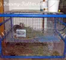 Cornice pvc molto fresco per gabbie per conigli interni